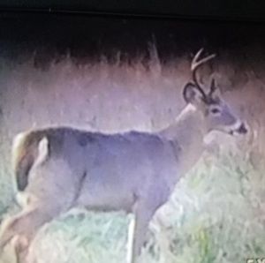 Meet your Posher, Caleb